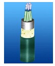 交聯(lián)聚氯乙烯絕緣船用控制電纜