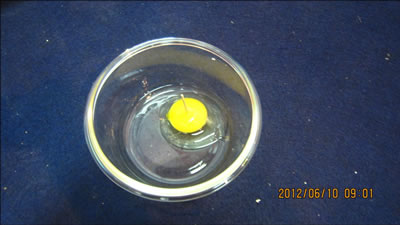 土元雞蛋對人體的益處