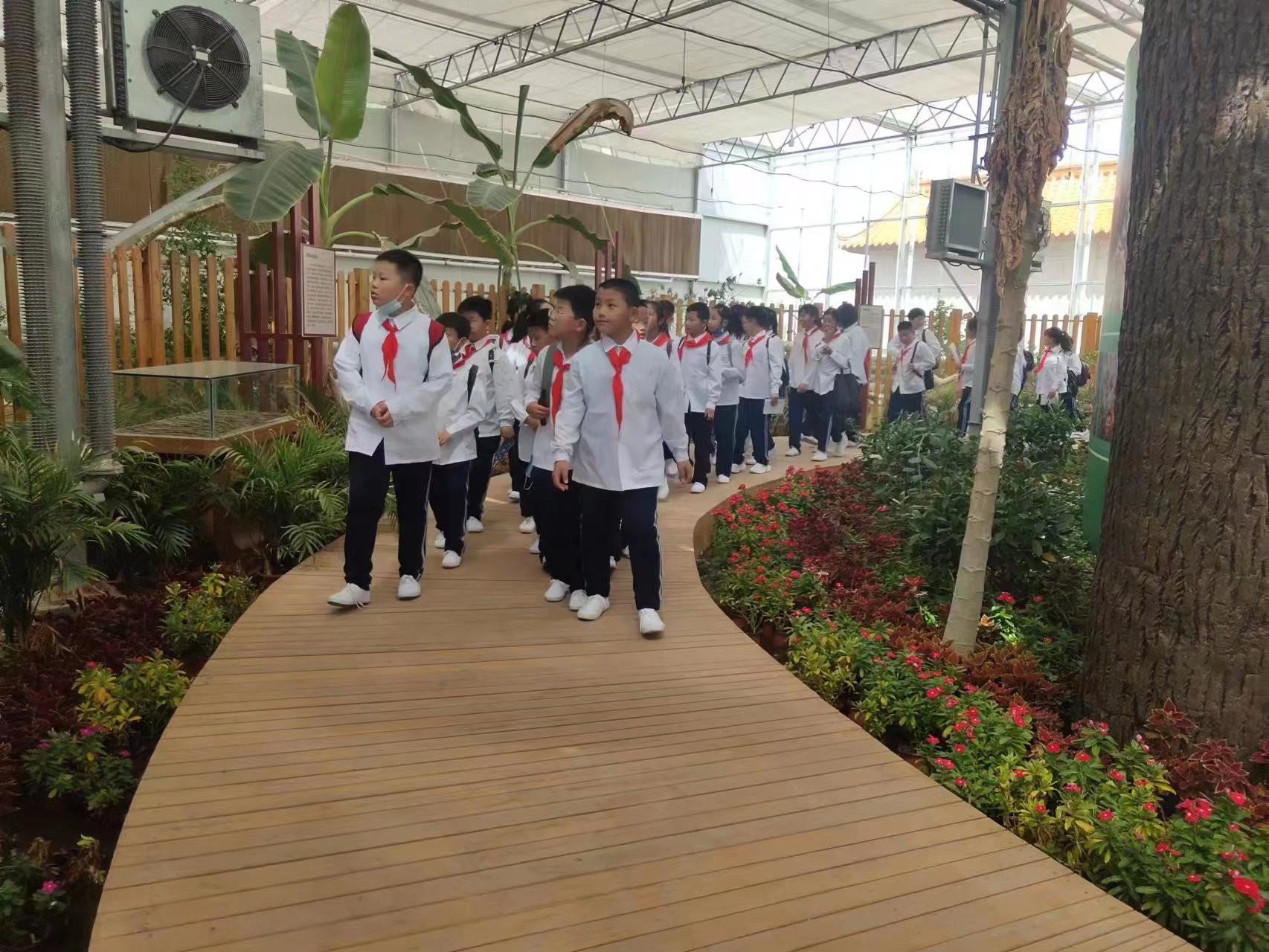 各地中小學(xué)生來(lái)茂豐金蟬科普示范基地研學(xué)